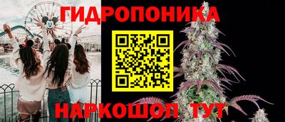 PSILOCYBIN Аргун
