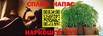 a pvp Апрелевка