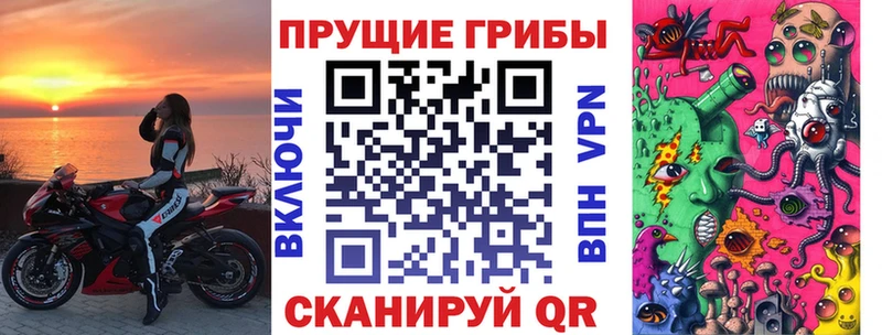 Галлюциногенные грибы Cubensis  Череповец 