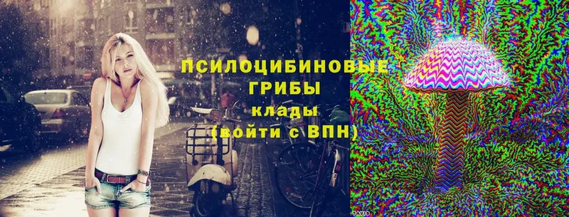 Галлюциногенные грибы MAGIC MUSHROOMS  Череповец 