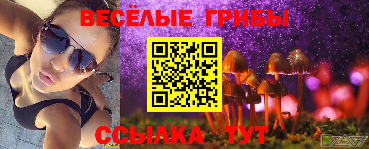 Череповец  Псилоцибиновые грибы Magic Shrooms  Вход с VPN 